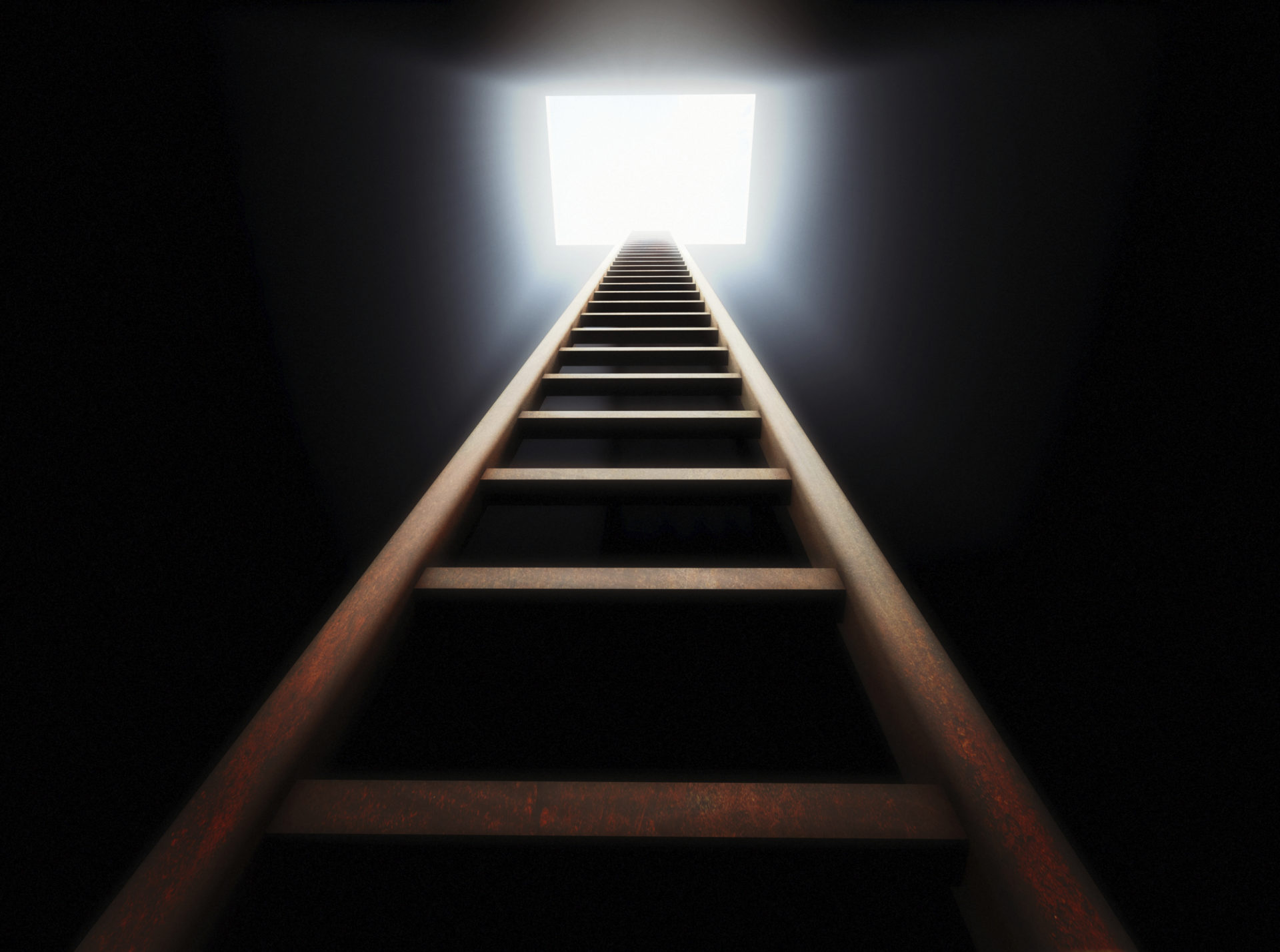 Ladder in Dark Hotel Art